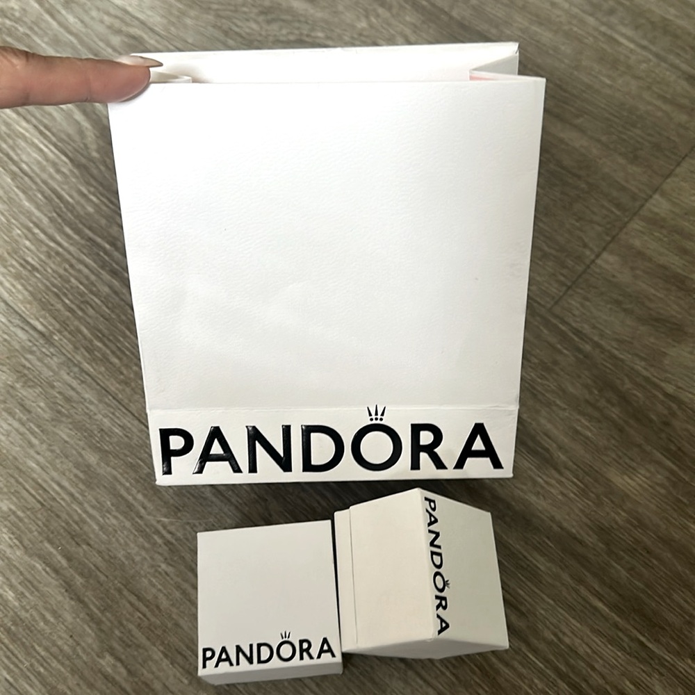 Pandora Packaging - image 1